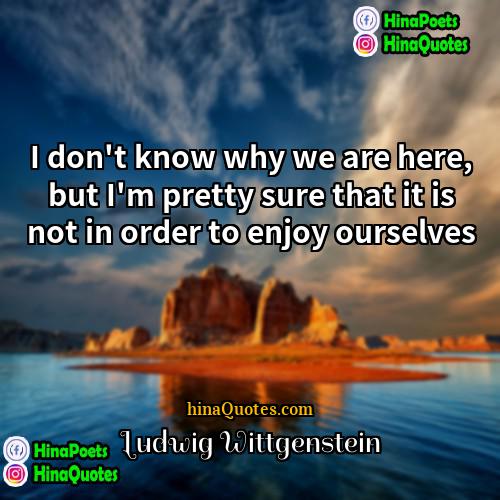 Ludwig Wittgenstein Quotes | I don't know why we are here,